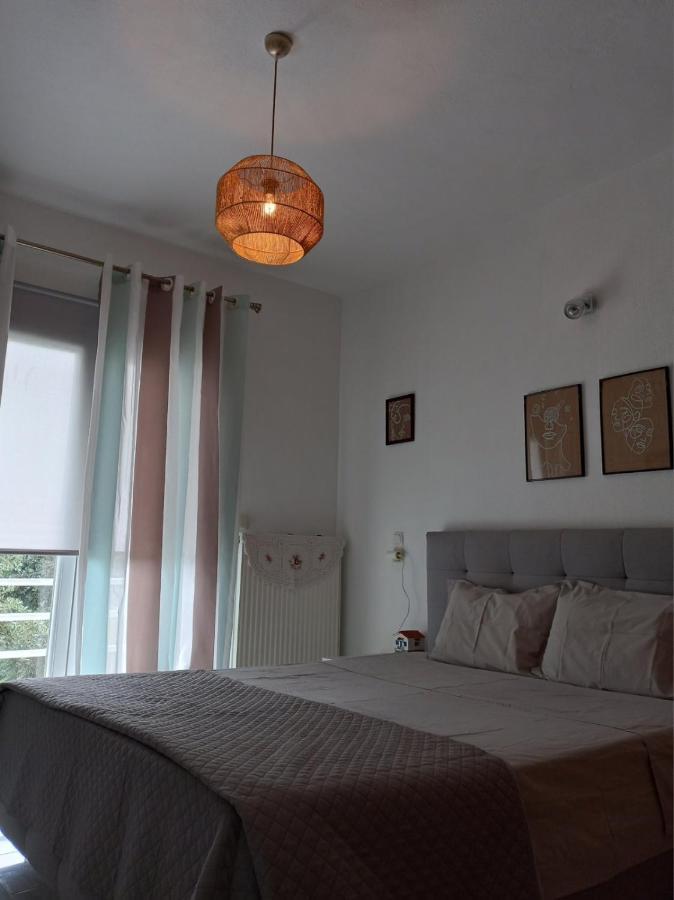 העיירה סקיאתוס Fiosal Apartments 1 מראה חיצוני תמונה