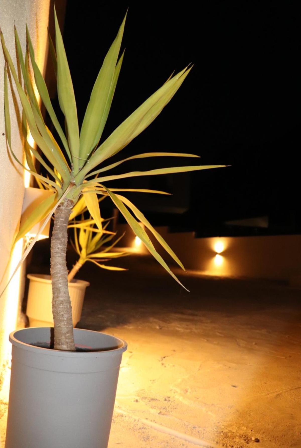 העיירה סקיאתוס Fiosal Apartments 1 מראה חיצוני תמונה
